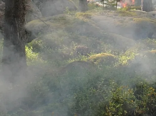 Incendie en Belgique : fumées et odeurs de brûlé encore présentes...