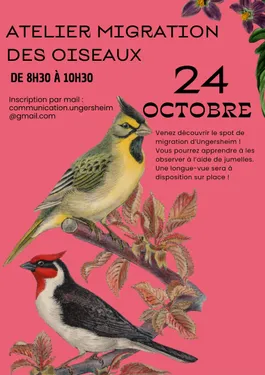 Atelier migration des oiseaux 