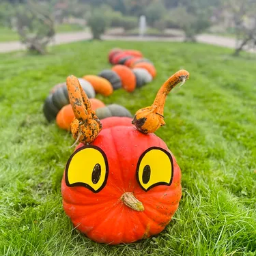 Fête d'automne au Parc de Wesserling