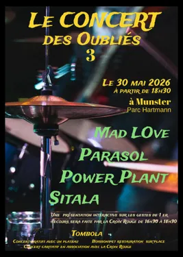 JLe Concert des Oubliés III