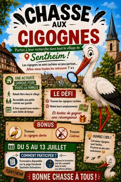 Chasse aux Cigognes (en bois) - SENTHEIM