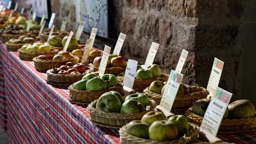 Au nom de la pomme