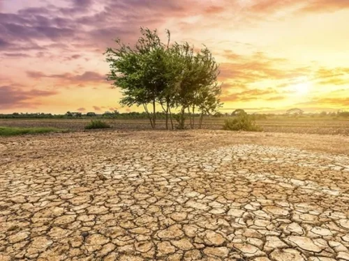 Face à la sécheresse et à la chaleur record, le Maroc renforce son...
