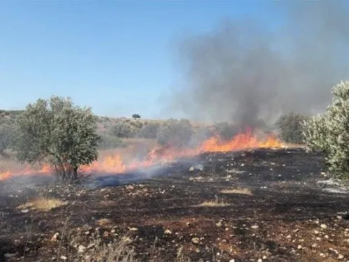 LE JOURNAL DU LIBAN DE LA MI-JOURNÉE DU 31/10/23