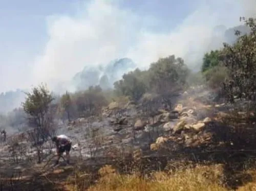 LE JOURNAL DU LIBAN DE LA MI-JOURNÉE DU 15/09/23
