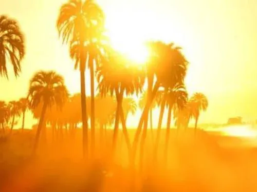 LE JOURNAL DU LIBAN DE 13H30 DU 11/7/2023