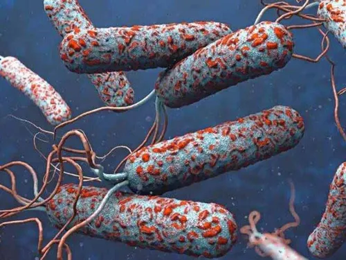 LE JOURNAL DU LIBAN DU SOIR DU 20/10/2022