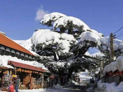 LE JOURNAL DU LIBAN DE LA MI-JOURNÉE DU 13/12/23