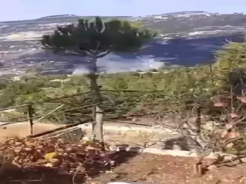 LE JOURNAL DU LIBAN DE LA MI-JOURNÉE DU 10/11/24