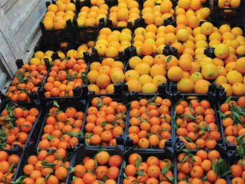 LE JOURNAL DU LIBAN DU SOIR DU 22/09/23