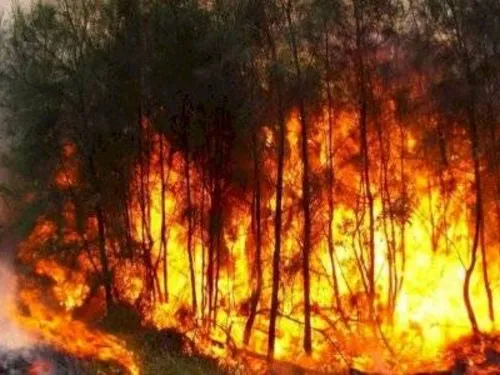 LE JOURNAL DU LIBAN DE LA MI-JOURNÉE DU 7/07/23