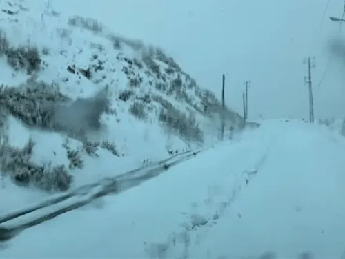 LE JOURNAL DU LIBAN DE LA MI-JOURNÉE DU 20/12/24