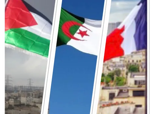 LE JOURNAL EN LANGUE ARABE DE MIDI 30 DU 26/01/23