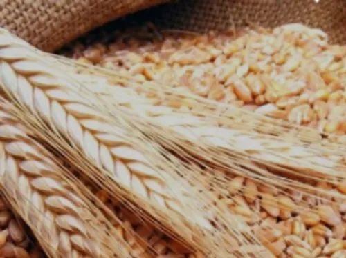 LE JOURNAL DU LIBAN DE LA MI-JOURNEE DU 29/09/22