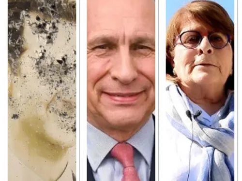 LE JOURNAL  EN LANGUE  FRANÇAISE  DU SOIR DU 8/12/24