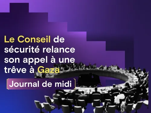 Cessez-le-feu à Gaza : vote à l’ONU,  France: la colère monte chez...