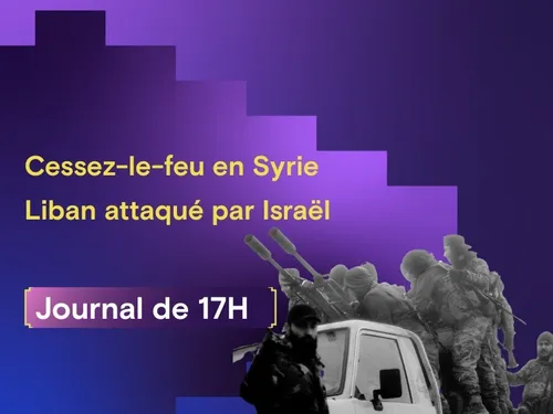 Syrie : cessez-le-feu, Liban frappé par Israël, Washington affirme...
