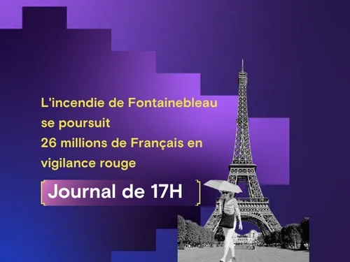 L'incendie de Fontainebleau se poursuit, 26 millions de Français en...