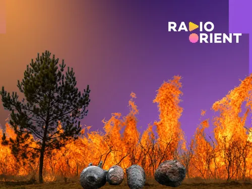 France : les incendies révèlent les bombes oubliées de la Seconde...