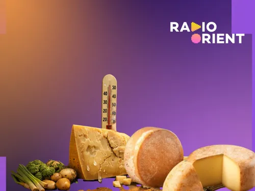  Quand le climat devient un risque de crédit pour le fromage italien