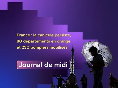 Canicule en France : 80 départements en orange, 230 pompiers...