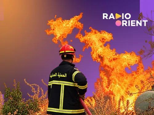 Algérie : les incendies ravagent le nord-est, les autorités...