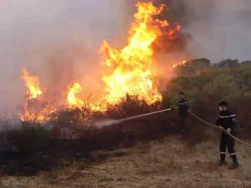 Algérie : la peine capitale étendue aux incendiaires de forêts