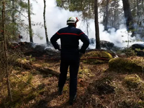 Incendie de Fontainebleau : les pompiers restent mobilisés, quatre...