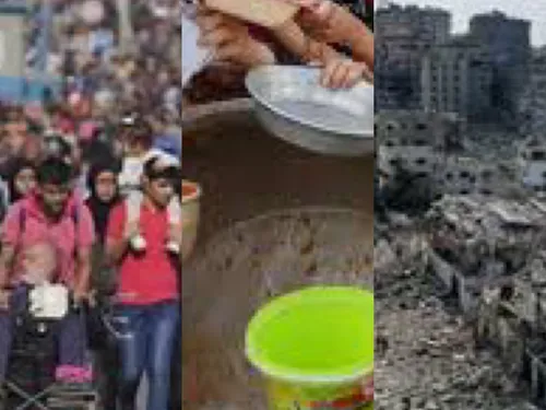 LE JOURNAL EN LANGUE ARABE DE 13H DU 24/11/23