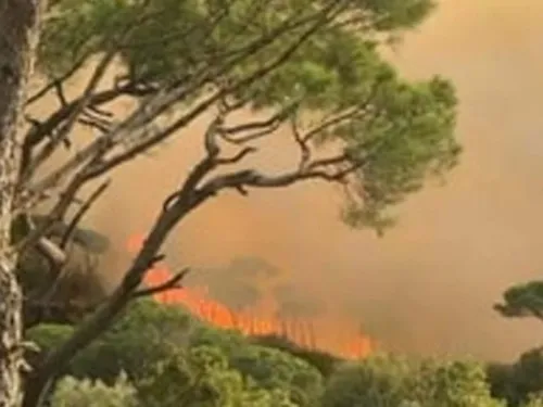 LE JOURNAL DU LIBAN DE LA MI-JOURNÉE DU 30/10/24