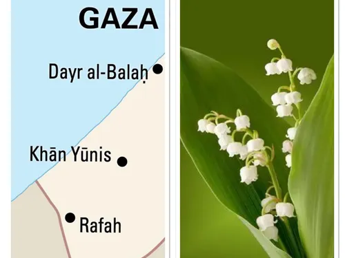 LE JOURNAL EN LANGUE ARABE DU SOIR DU 30/04/24