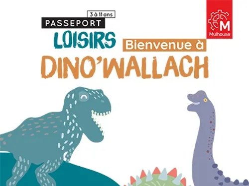 Mulhouse : Inscription à l’Accueil de Loisirs Sans Hébergement...