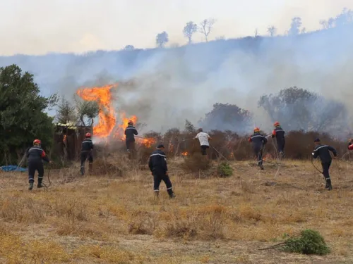 Algérie : une nuit dramatique, douze morts dans les incendies