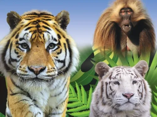 Parcs Zoologiques Lumigny