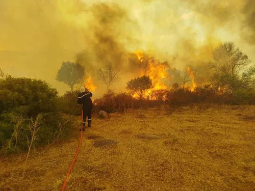 Les incendies plongent l'Algérie dans le deuil ! 