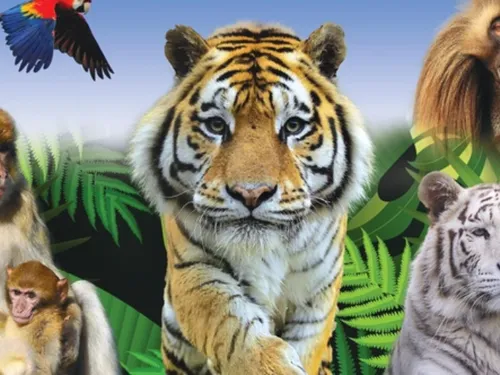 Parcs Zoologiques Lumigny