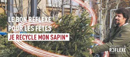 [ Société ] Que faire de votre sapin après les fêtes ? Des...