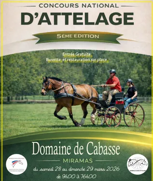 [ Evènement ] Concours d’attelage à Miramas : un week-end...