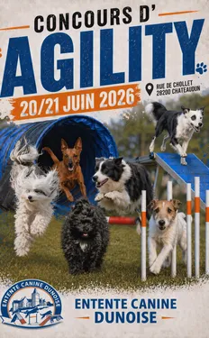 CHÂTEAUDUN - Concours d'Agility