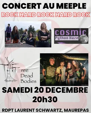 MAUREPAS (78) - Concert Rock & Hard Rock au Meeple