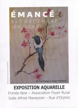 ÉMANCÉ (78) - Exposition aquarelles