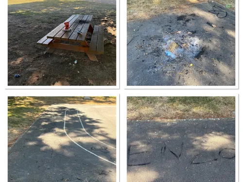 Feux et déchets en tout genre dans le parc municipal de...
