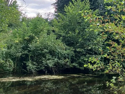 Randonnée nature pour découvrir la Conie