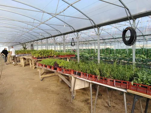 Le Jardin Soli-bio vous accueille pour une visite à Voves