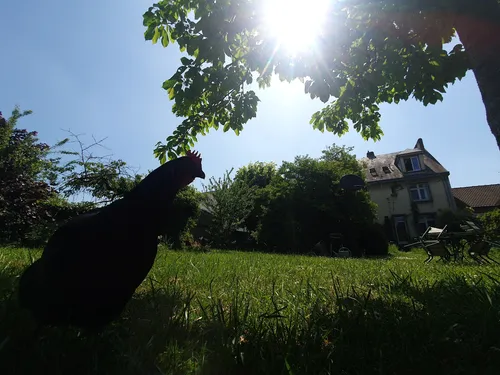 Une ambiance estivale pour terminer le mois d'avril