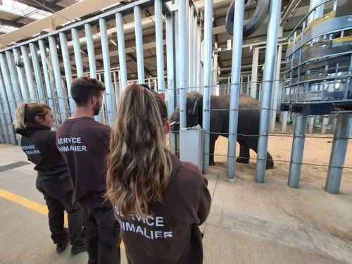  Les « Foulées de La Tanière », course virtuelle et solidaire