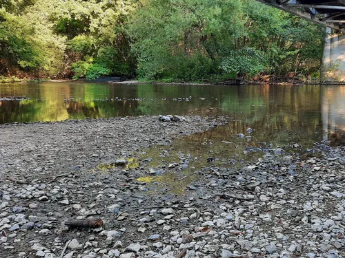 🔊La sécheresse inquiète les pêcheurs