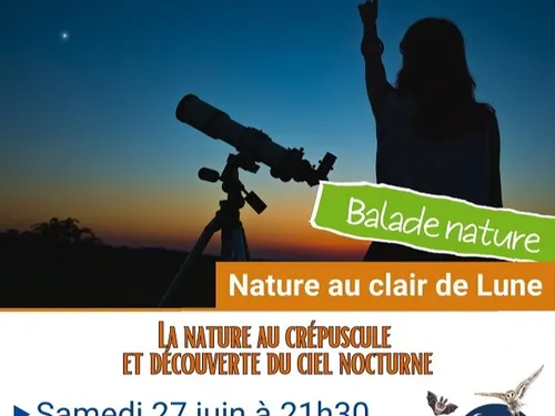AUNEAU - Nature au clair de lune