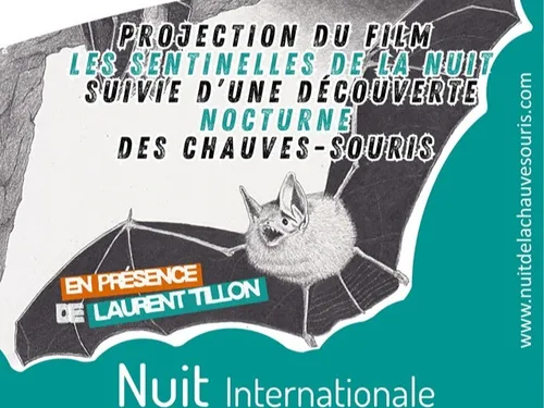 CHAUDON - Nature : Une nuit avec les chauves-souris