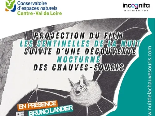 MARBOUÉ - Nature : Grottes et chauves-souris